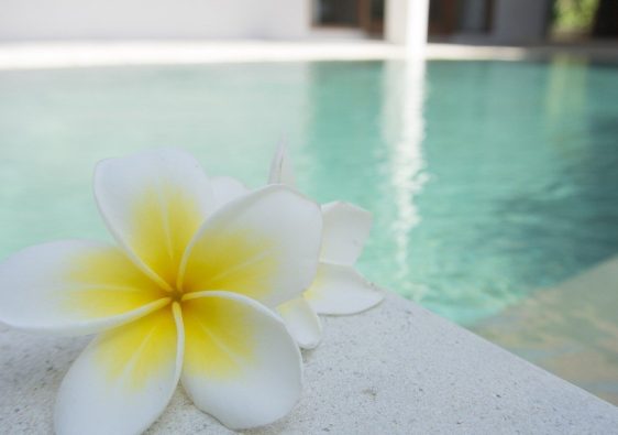 Pourquoi choisir un hôtel thalasso ?